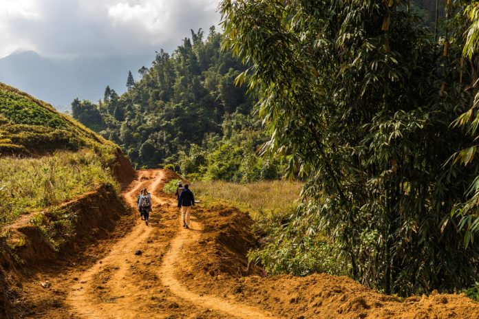 Travel Activism